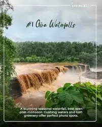Monsoon Magic in Mahabaleshwar: Strawberry Fields &amp; Waterfall Hikes