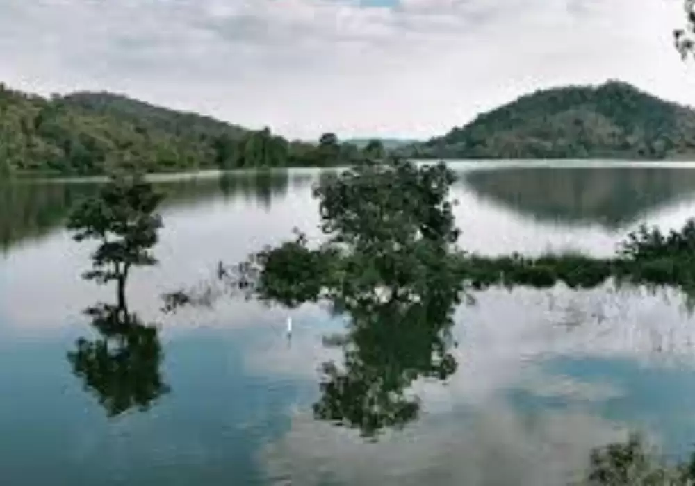 Discover the Magic of Polo Forest: Ahmedabad’s Iconic One‑Day Picnic