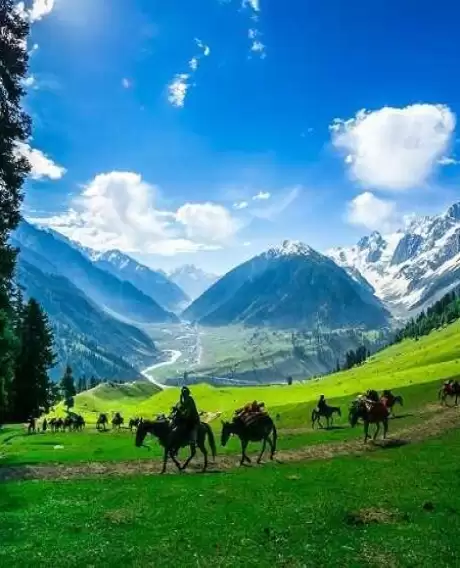 Kashmir