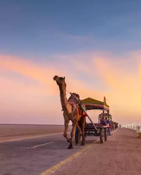 Short Trip To Bhuj