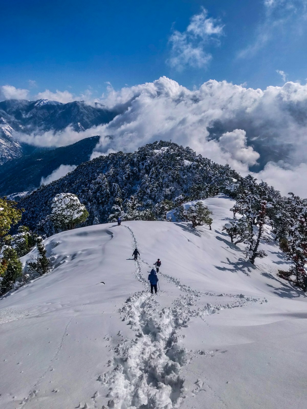 Manali Snow Adventure