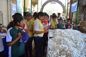 Educational Tours